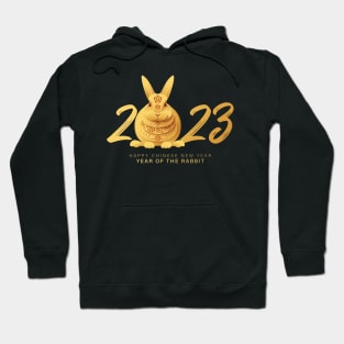 Chinese new year 2023 with numbers and rabbits Hoodie